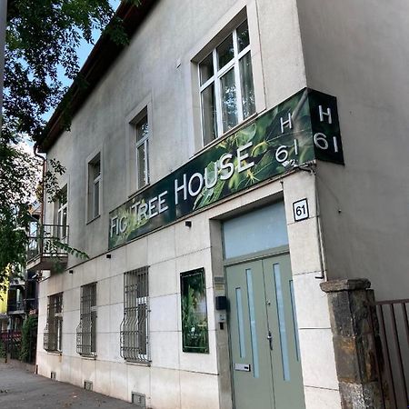 Fig Tree House Apartment Будапеща Екстериор снимка